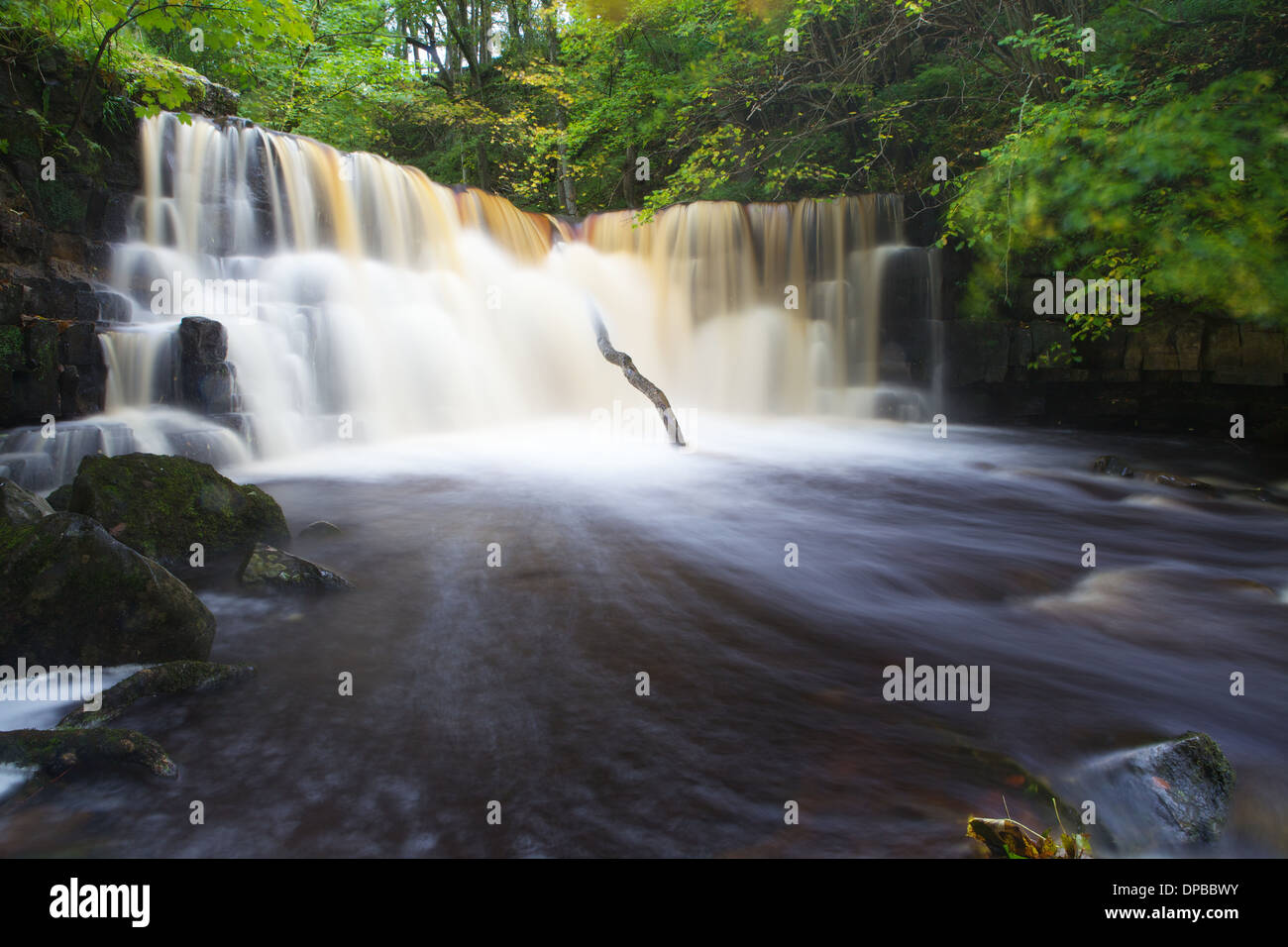 Whitfield Gill Force, nr Askrigg, North Yorkshire, England. Stock Photo