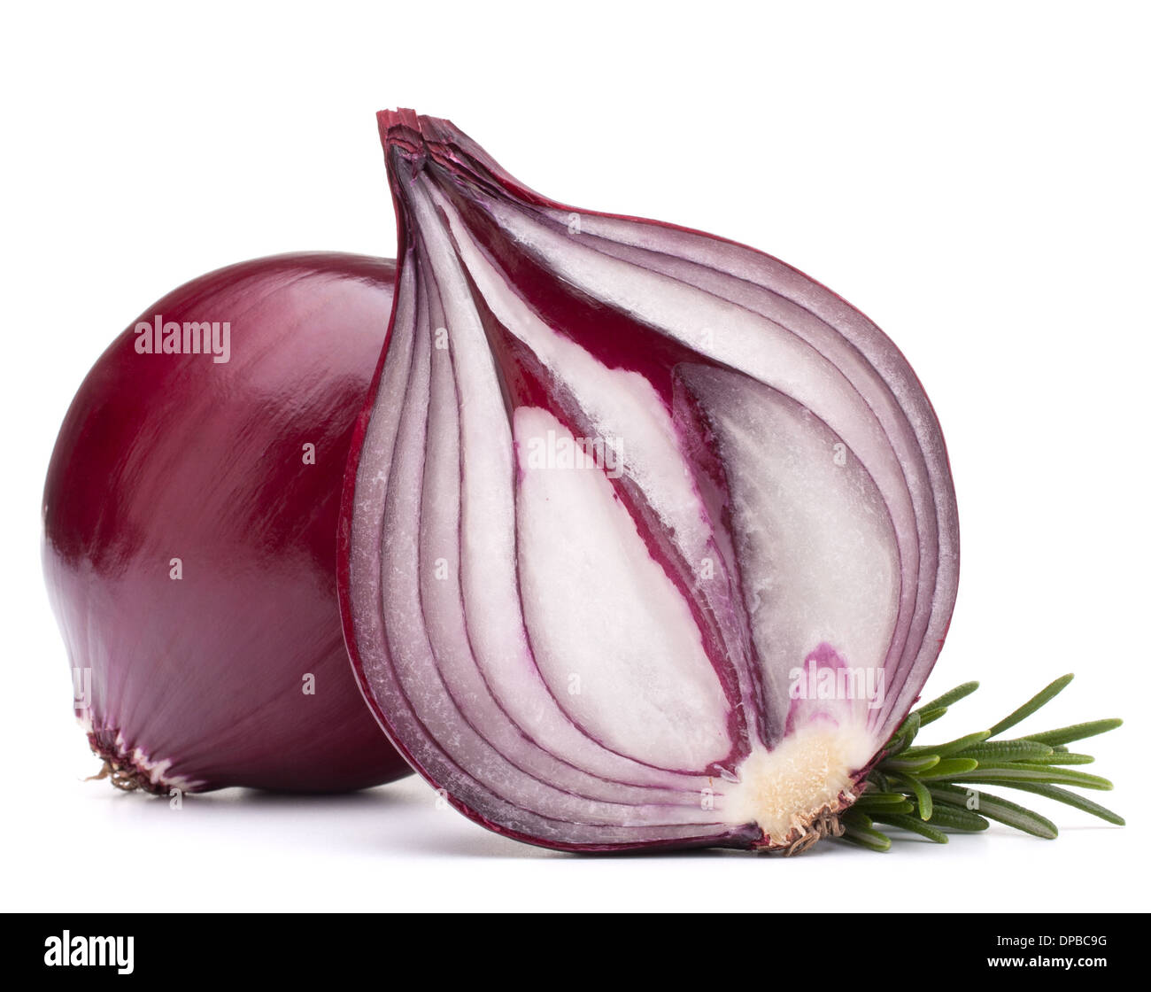 red onion and rosemary leaves still life isolated on white background