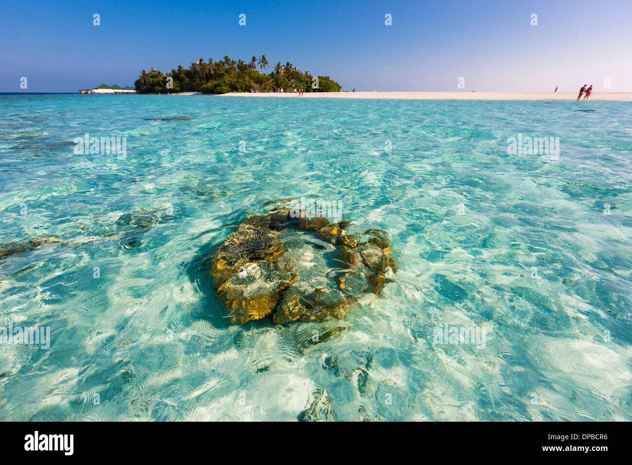 Maledives, Nord-Male-Atoll, Aisen, corals in front of the island Stock Photo