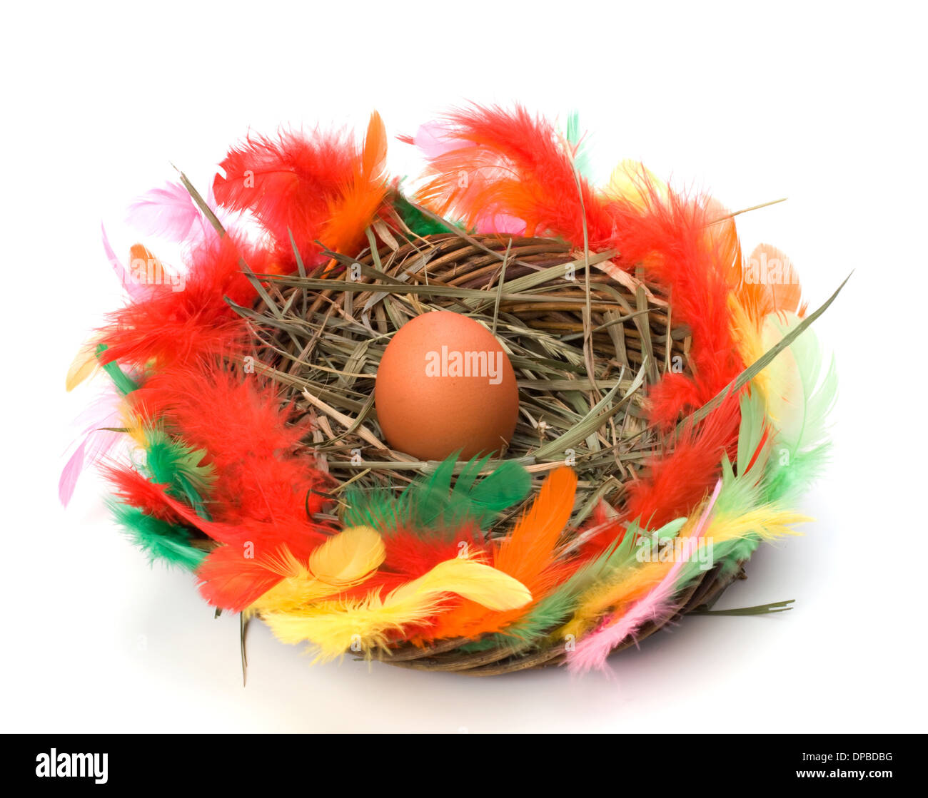 easter egg in nest isolated on white background Stock Photo - Alamy