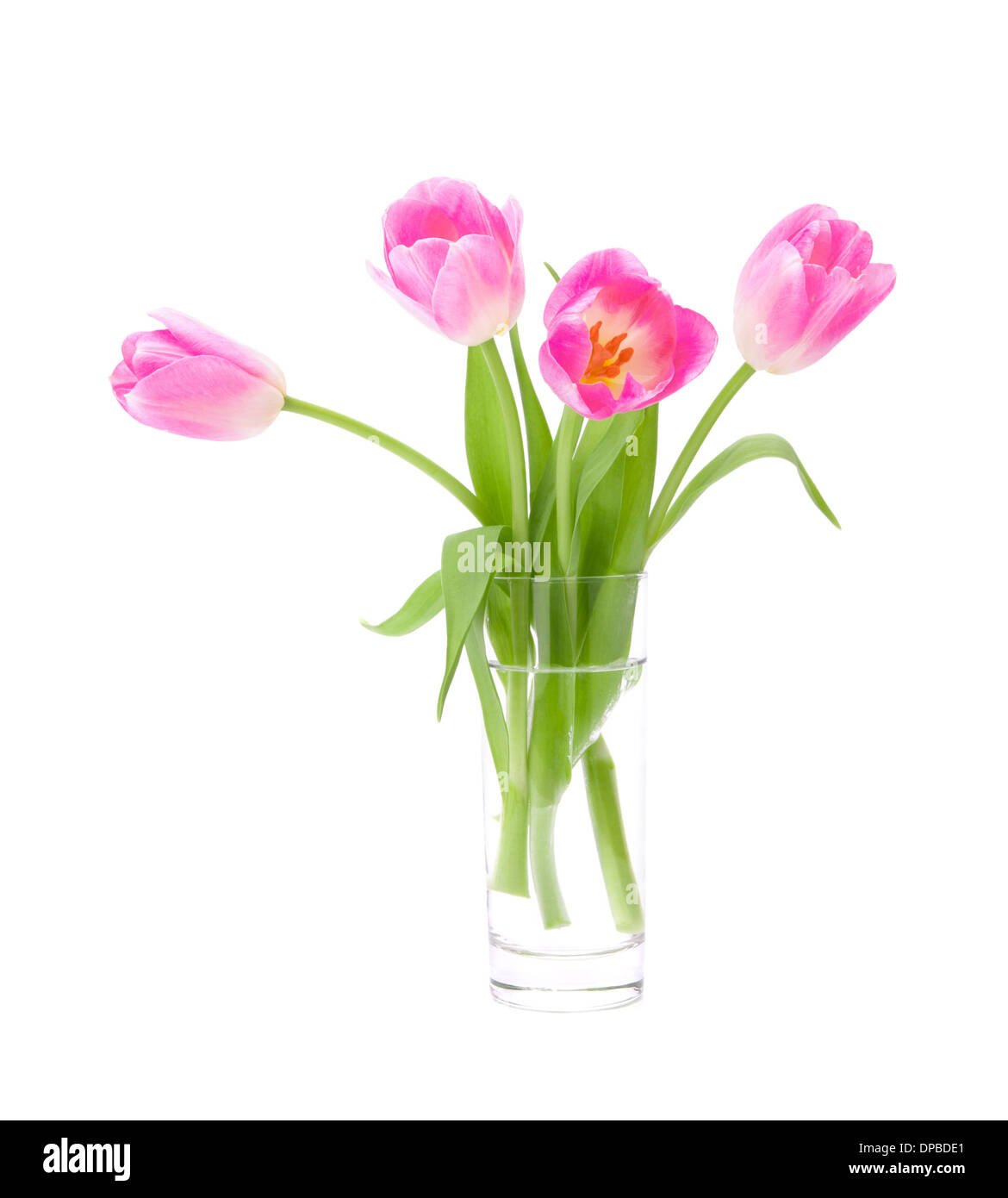 Pink tulips bouquet in vase isolated on white background Stock Photo ...