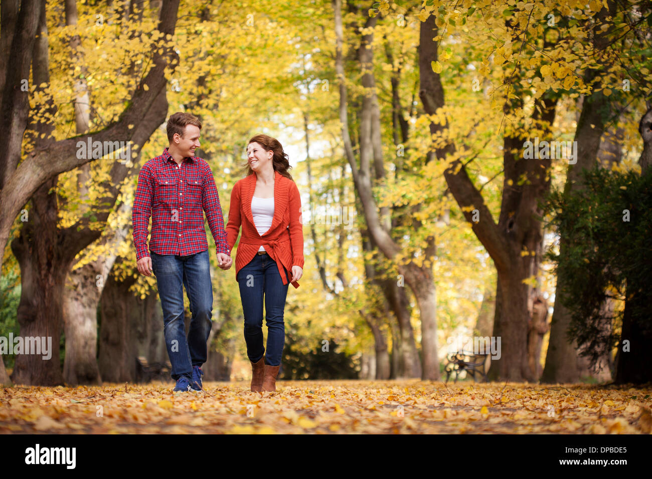 Happy young couple walking hand in hand in a park Stock Photo - Alamy