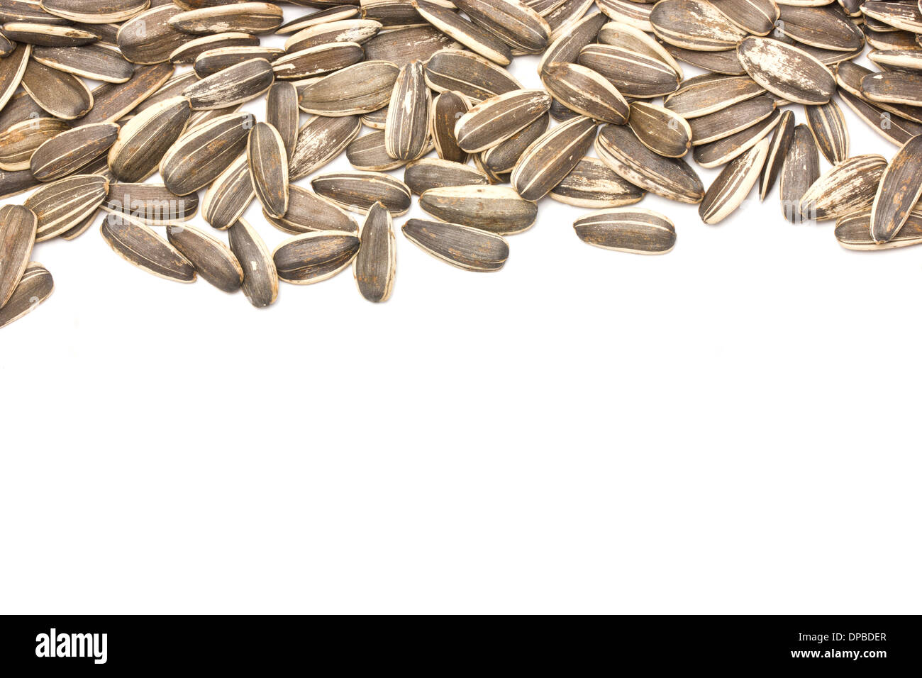 Sunflower seeds with text space. Stock Photo