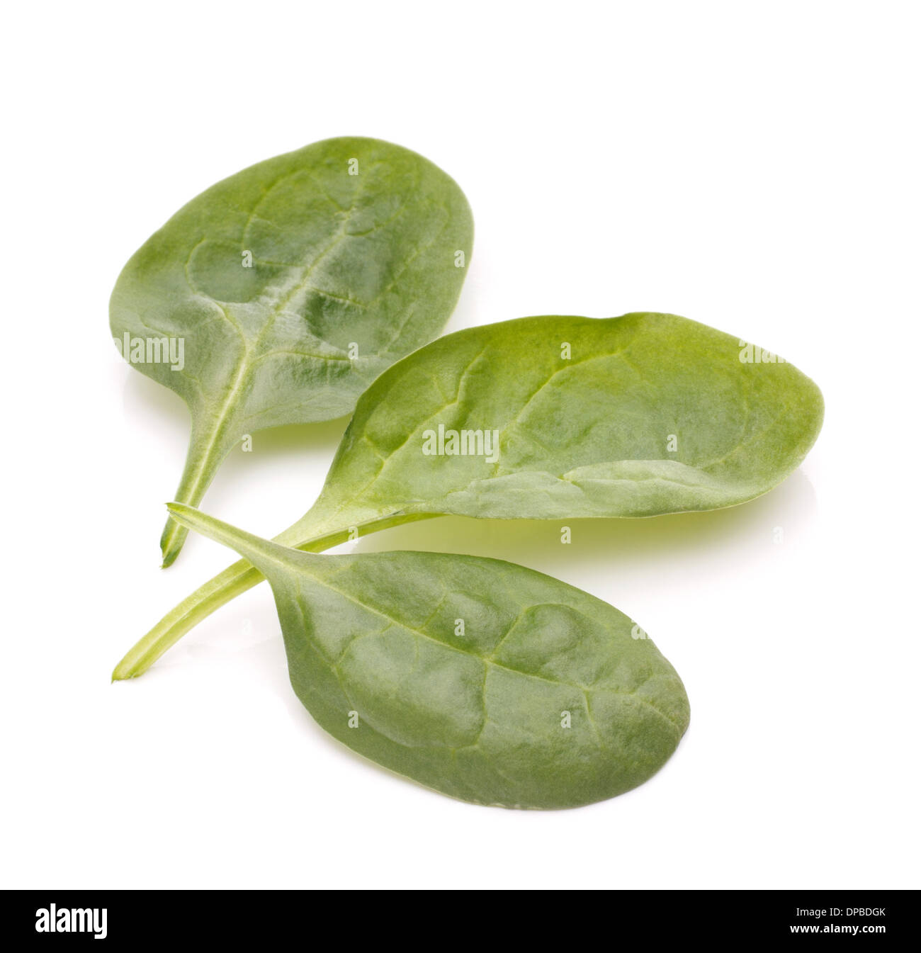Spinach vegetables isolated on white background cutout Stock Photo - Alamy