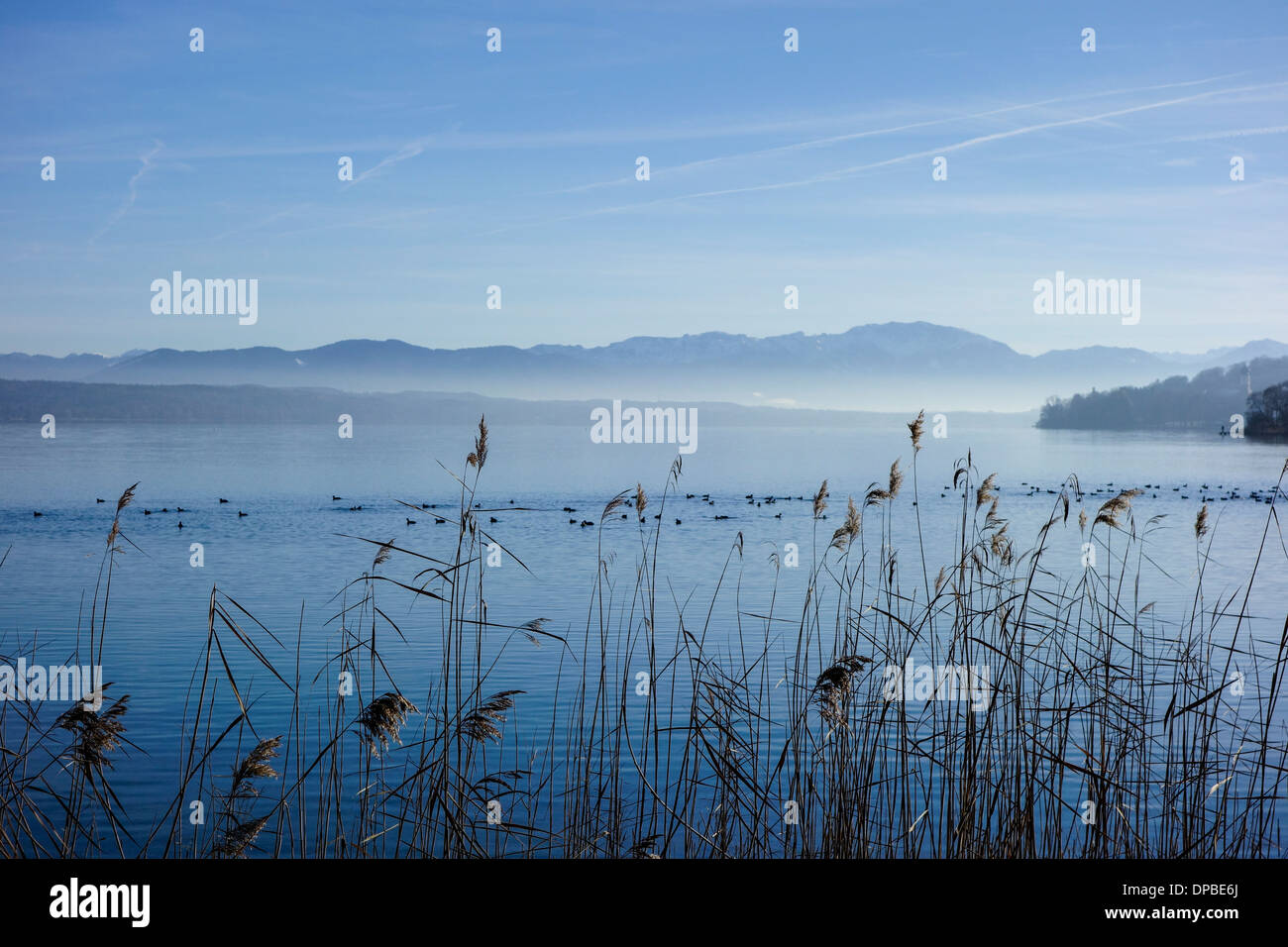 View of Lake Starnberg near Bernried, Bavaria, Germany Stock Photo - Alamy