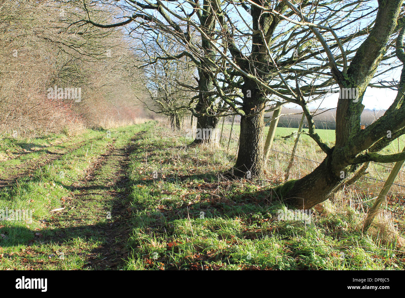 A peaceful country track in mid Hampshire, UK Stock Photo