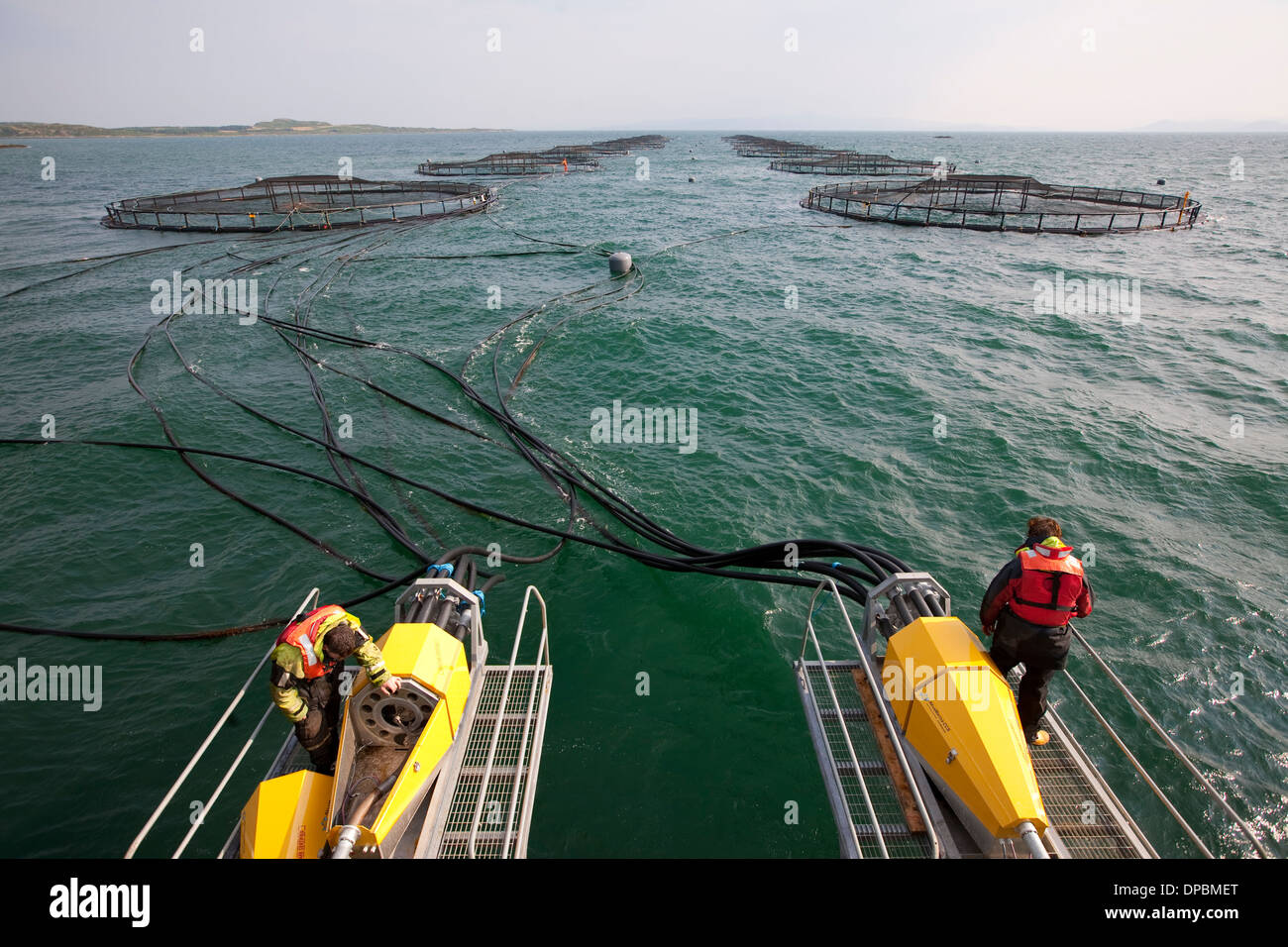 Halibut Fish Farm, Isle of Gigha, Scotland Stock Photo Alamy