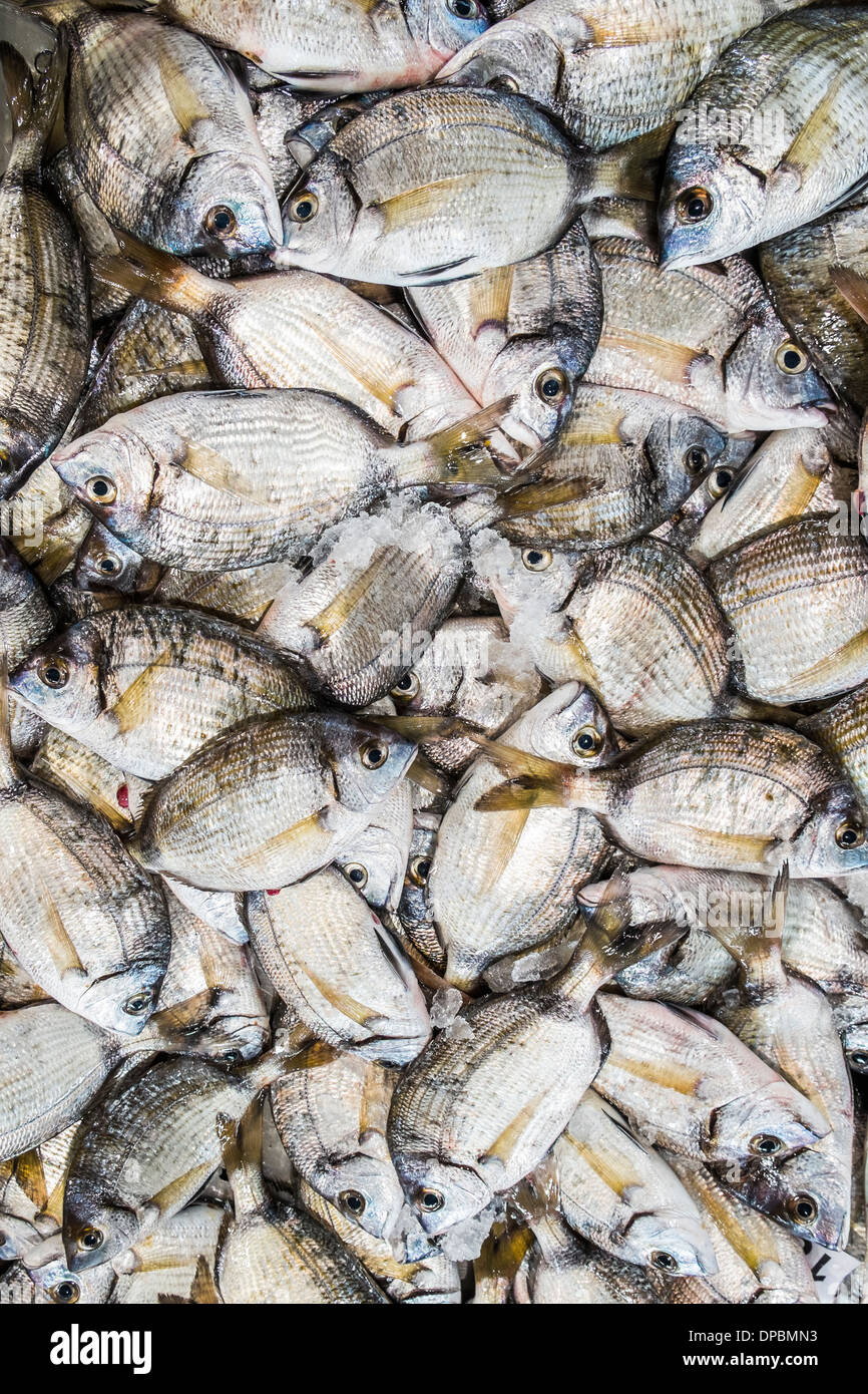 gilt-head breams at a fish stall at the covered market of loulé, algarve, portugal Stock Photo