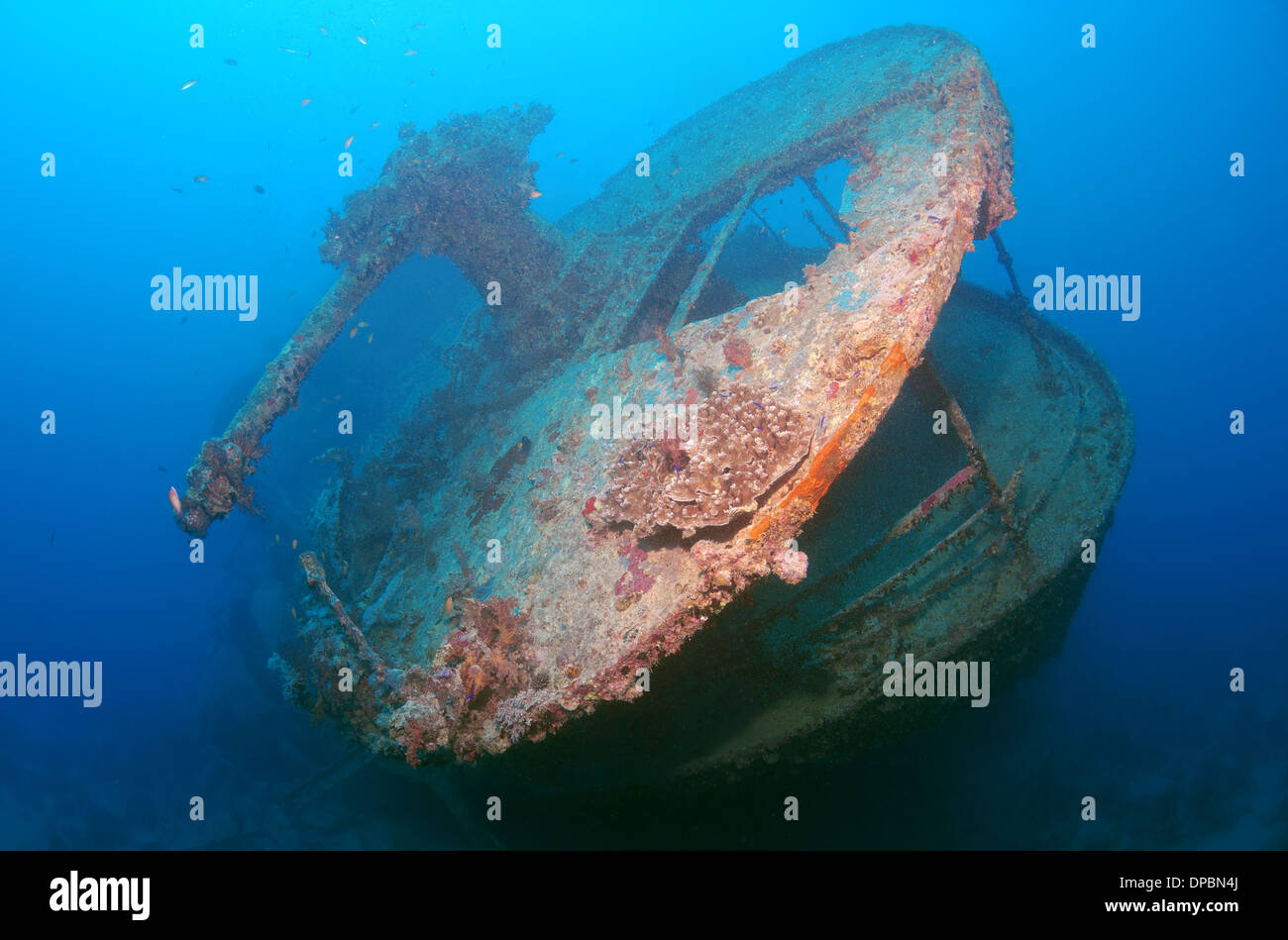 gun on the stern of the shipwreck "SS Thistlegorm". Red sea, Egypt, Africa Stock Photo