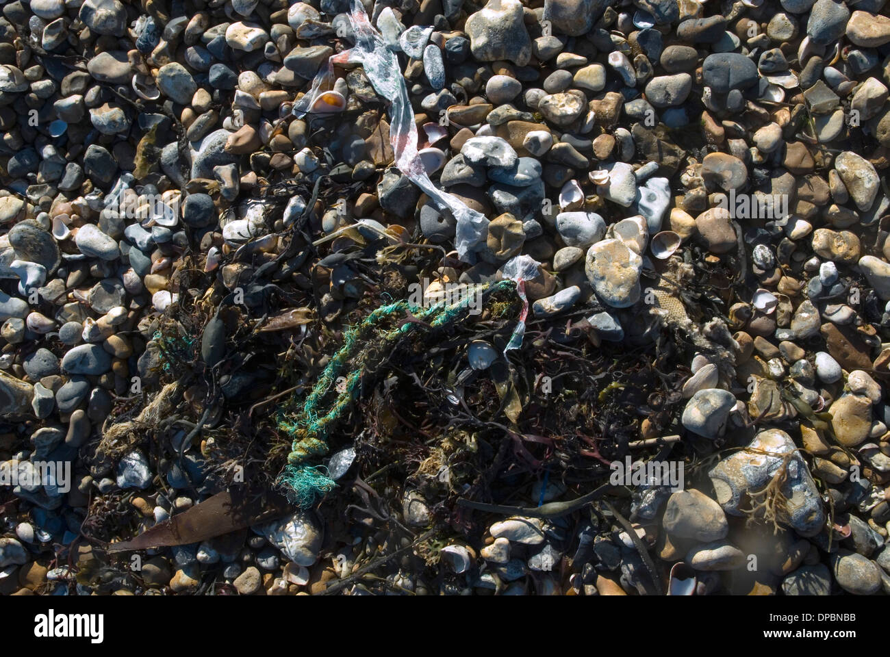 Clearing rubbish from seashore Stock Photo