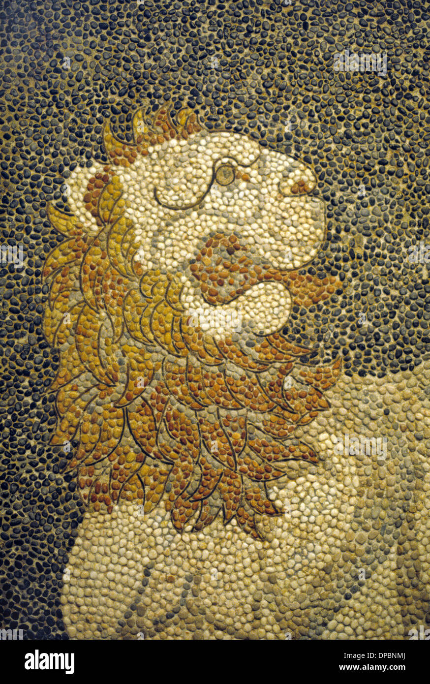 Lion Hunt Floor Mosaic c4BC Greek-Roman Floor Mosaic from Pella Macedonia Greece Stock Photo