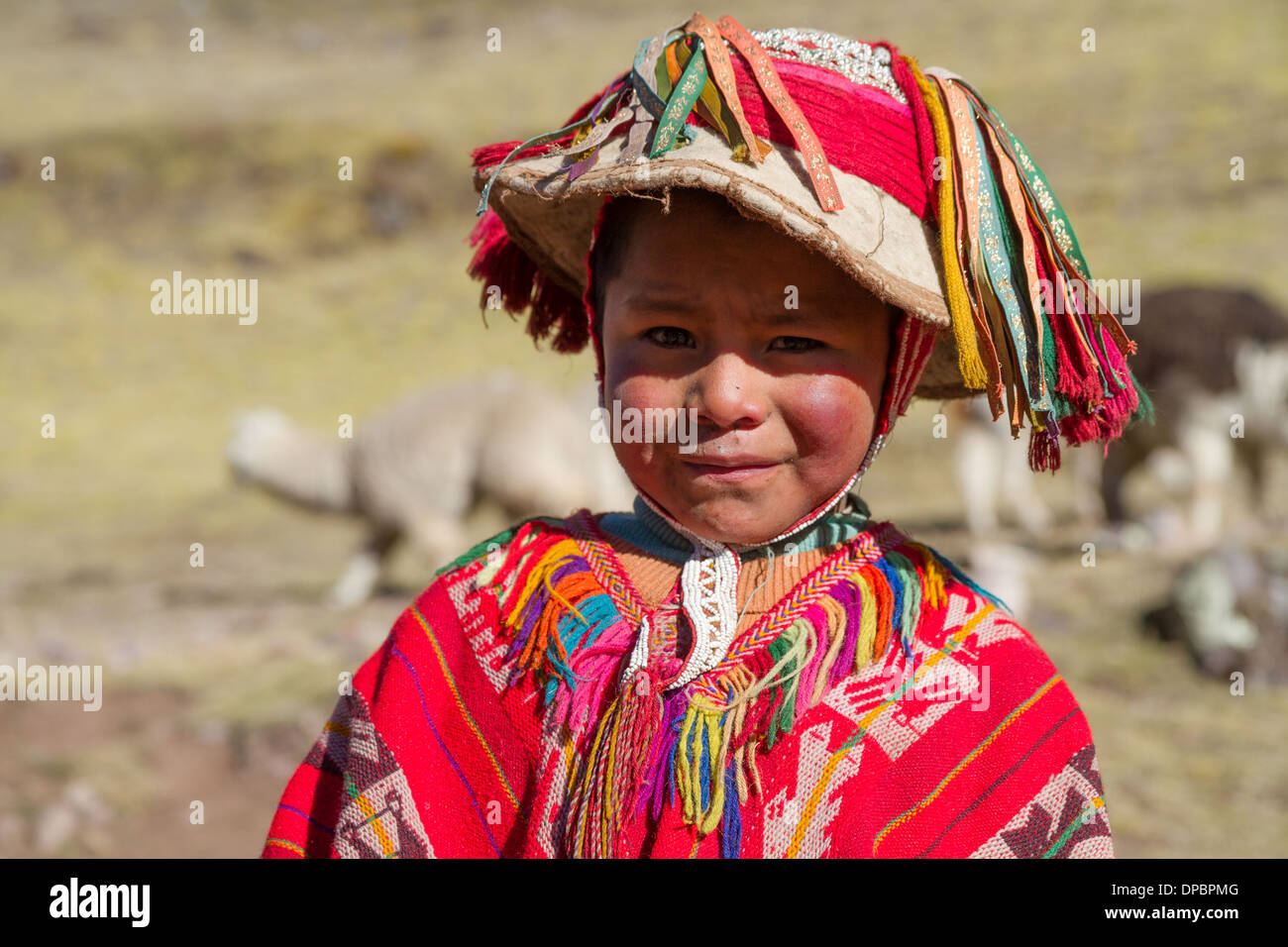 Young herder boy in the peruvian andes Stock Photo