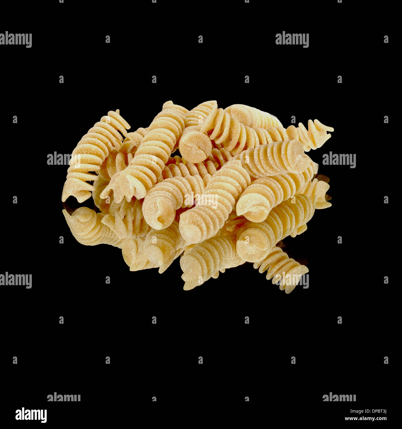 Fusilli Italian Pasta on black background with mirror image reflection. Whole wheat pasta Stock Photo