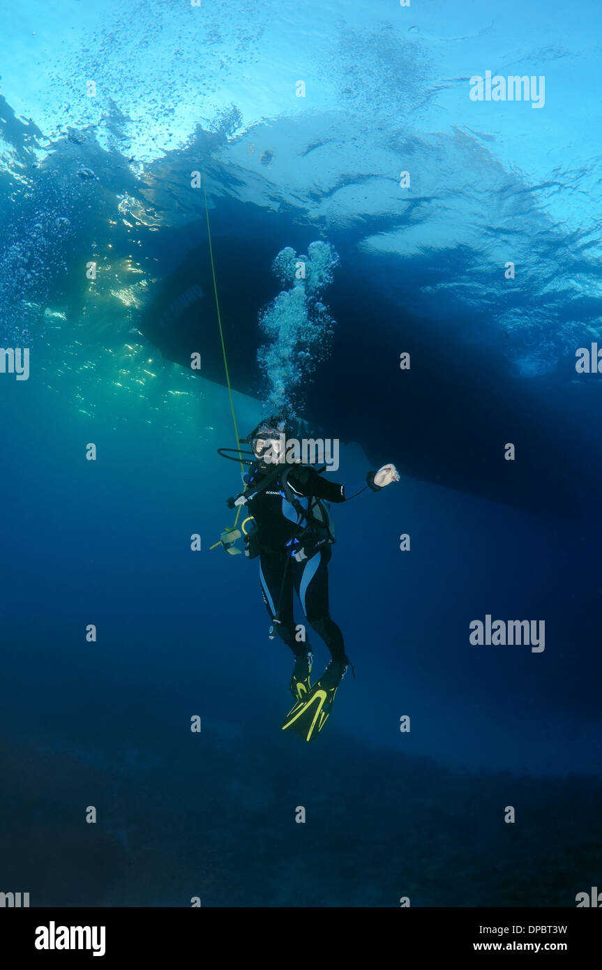 Skin diving hires stock photography and images Alamy