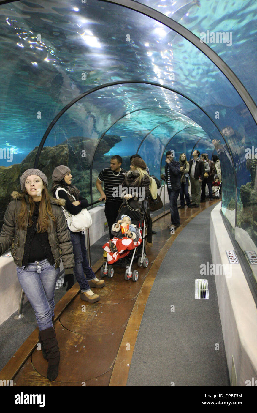 Barcelona Aquarium with sharks Stock Photo Alamy