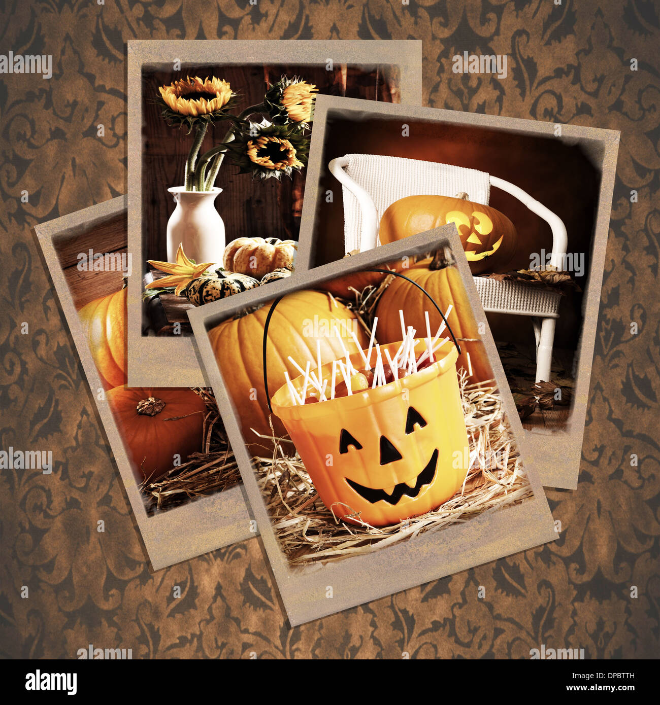 Halloween polaroids on a dark damask background Stock Photo