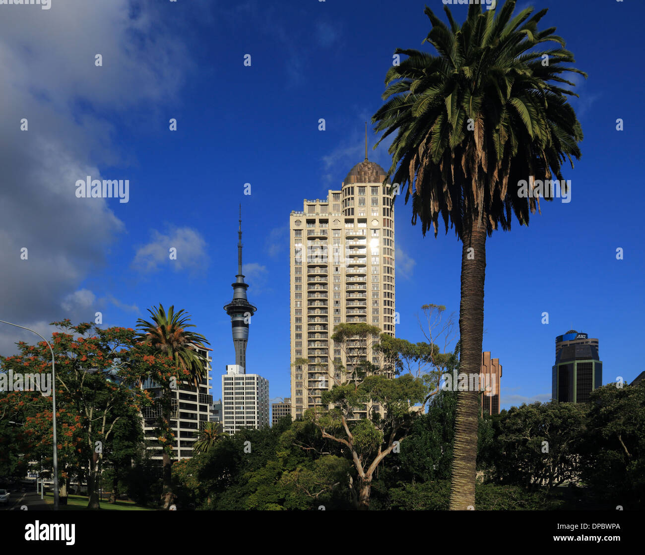 View of the Sky Tower, Sky City from Albert Park, Auckland, New Zealand Stock Photo