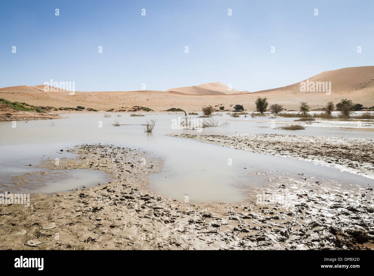 SOSSUSVLEI NAMIB NAUKLUFT NATIONAL PARK NAMIBIA visual data 8