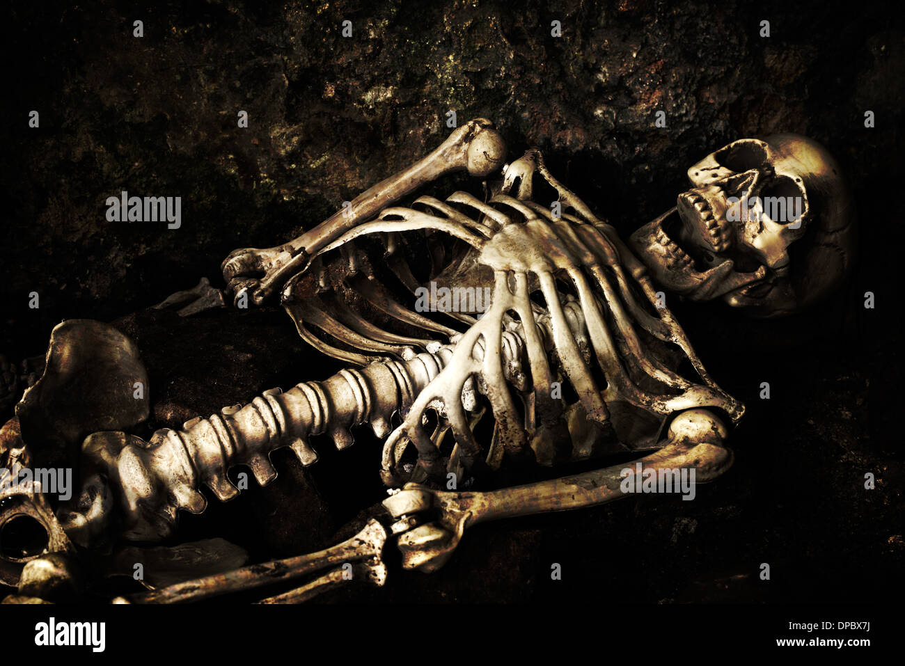 Фрагменты скелетов. Ископаемые формы древних людей. Австралопитек афарский скелет. Скелет лежит. Фрагменты скелетов.