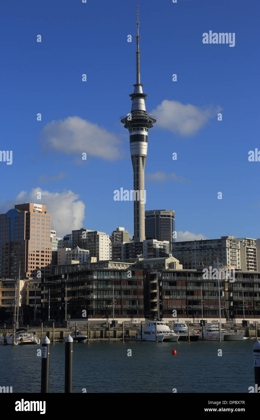 Sky Tower, Sky City and Auckland skyline over Viaduct Basin, Auckland, New Zealand Stock Photo