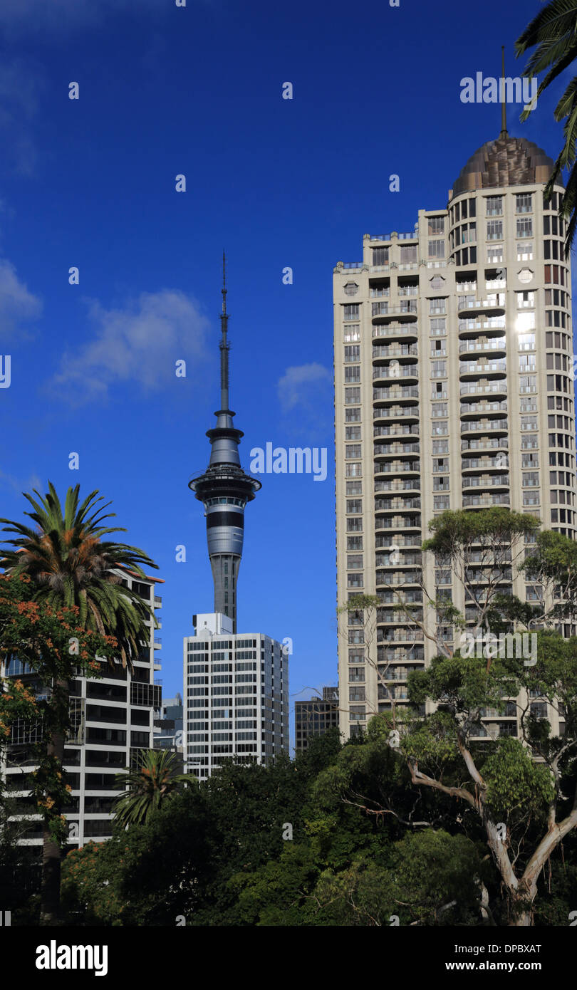 View of the Sky Tower, Sky City from Albert Park, Auckland, New Zealand Stock Photo