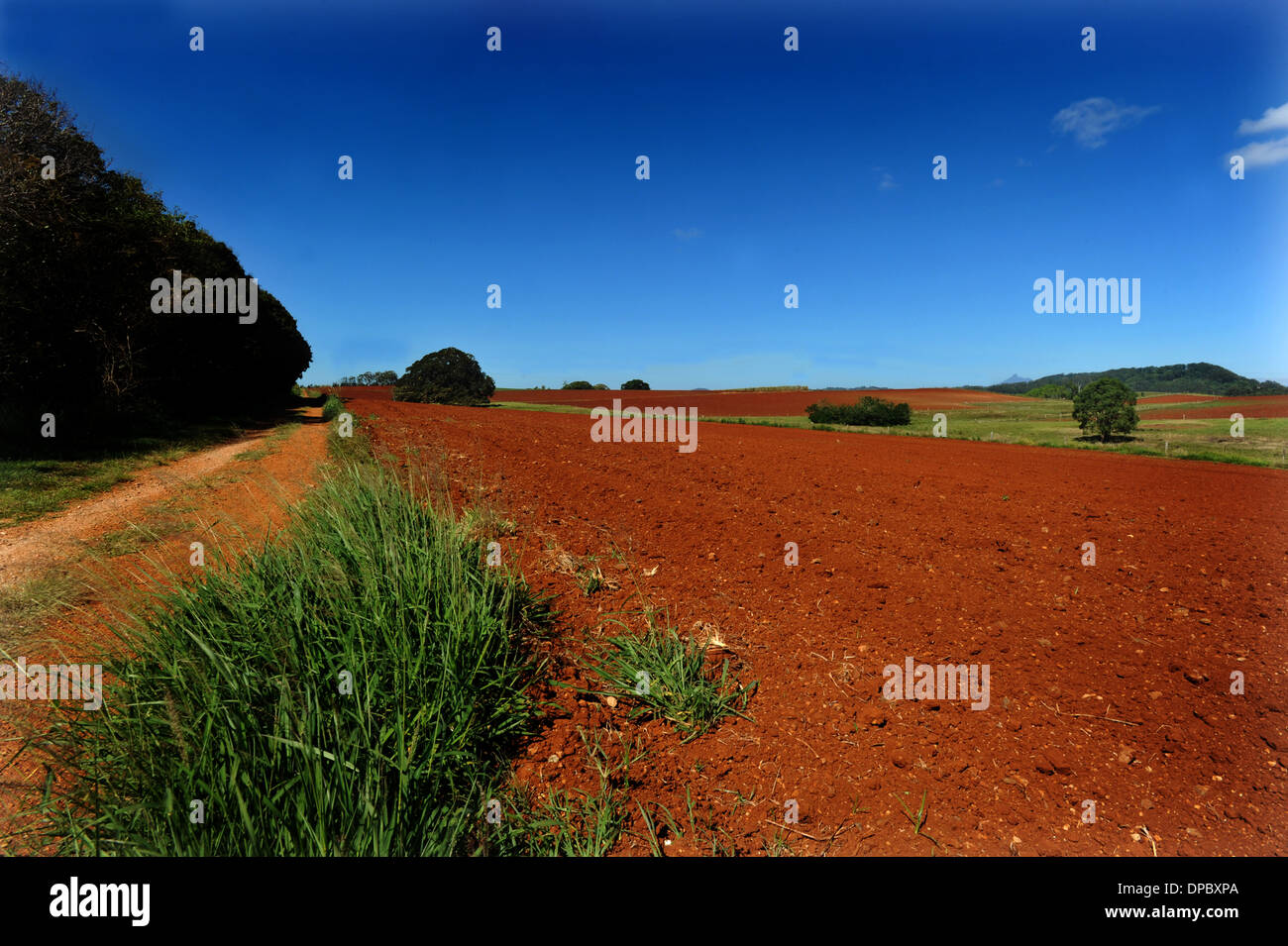 Red Volcanic soil near Duranbah in Northern NSW Australia Stock Photo