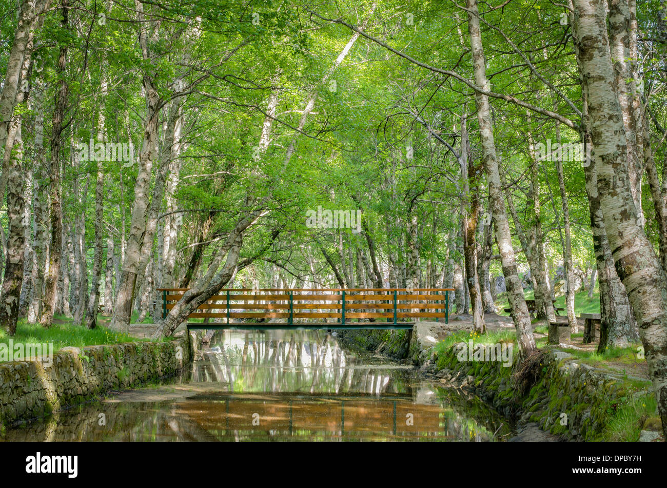 Park Natural serra Estrela - Portugal. Stock Photo