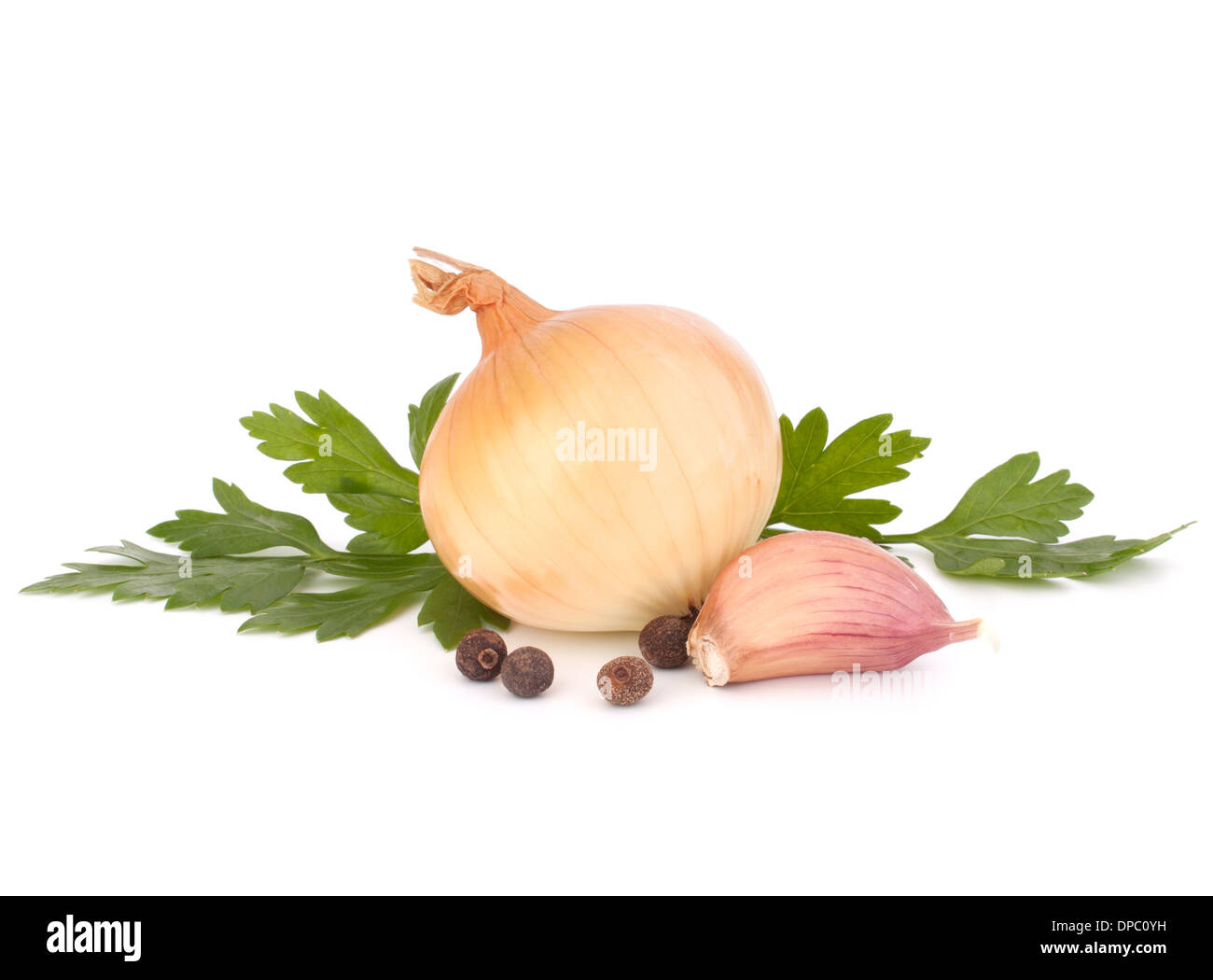 Onion and garlic clove isolated on white background Stock Photo - Alamy