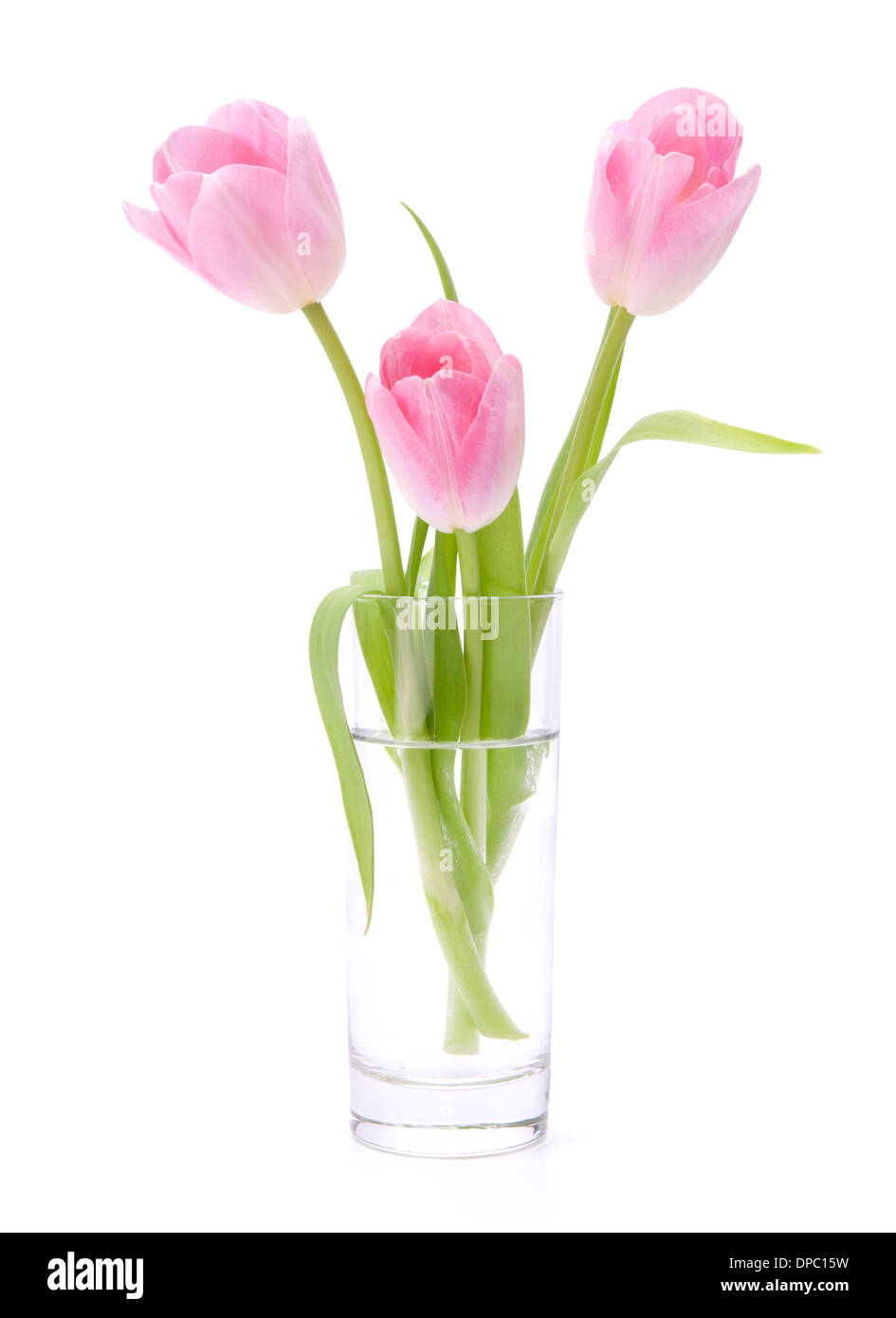 Pink tulips bouquet in vase isolated on white background Stock Photo ...