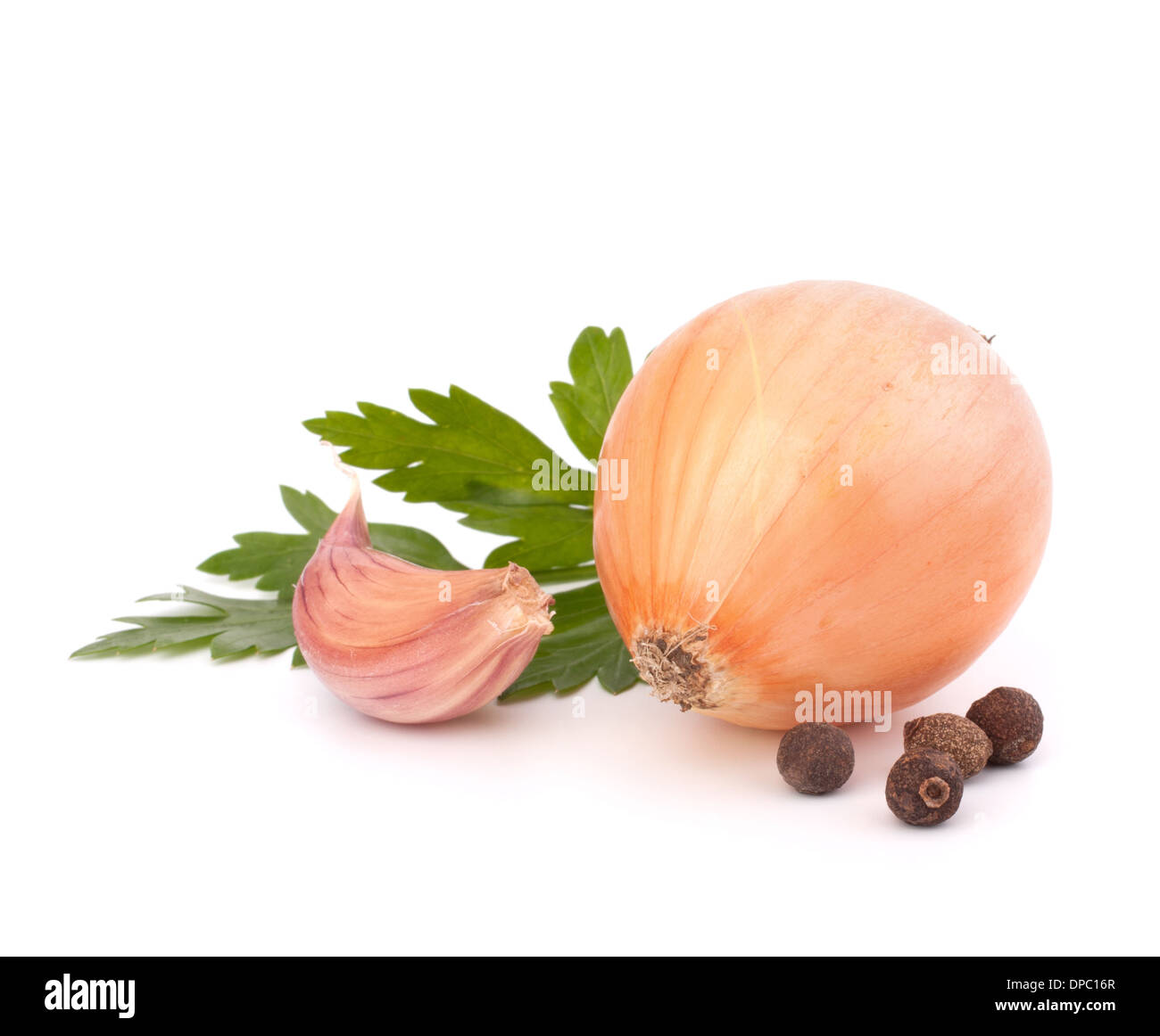 Onion and garlic clove isolated on white background Stock Photo - Alamy
