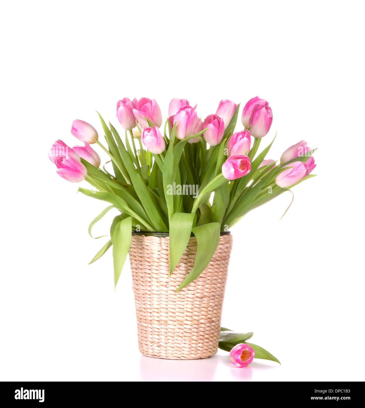 Pink tulips bouquet in vase isolated on white background Stock Photo ...