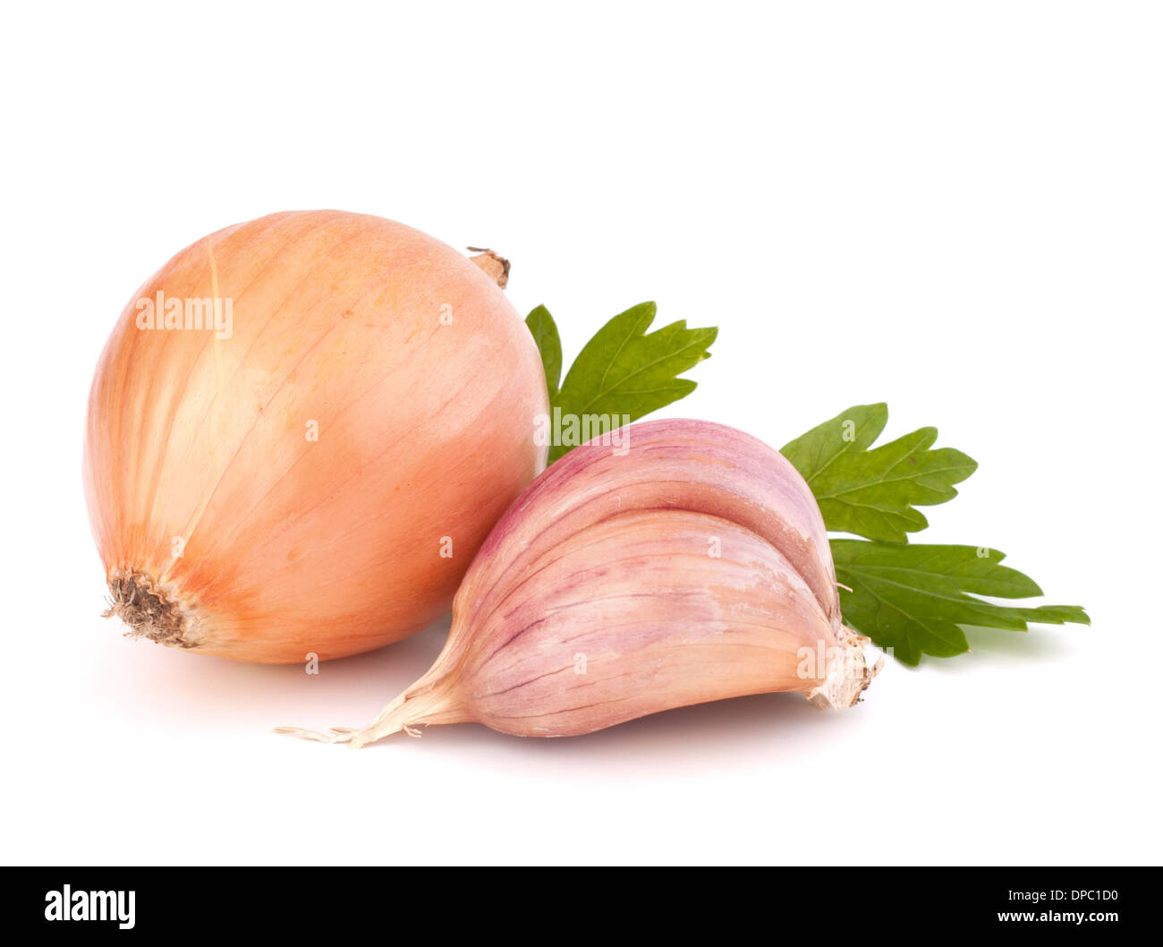 Onion and garlic clove isolated on white background Stock Photo - Alamy