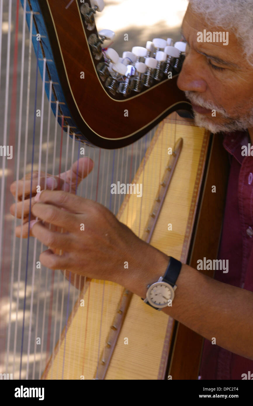 Harpist David Ogalde has recorded numerous CDs featuring music of the Andes, Santiago, Chile Stock Photo