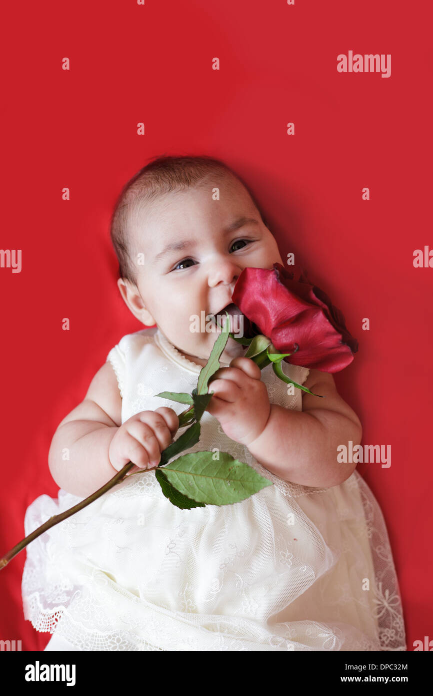 Cute little girl in white dress with red rose Stock Photo - Alamy