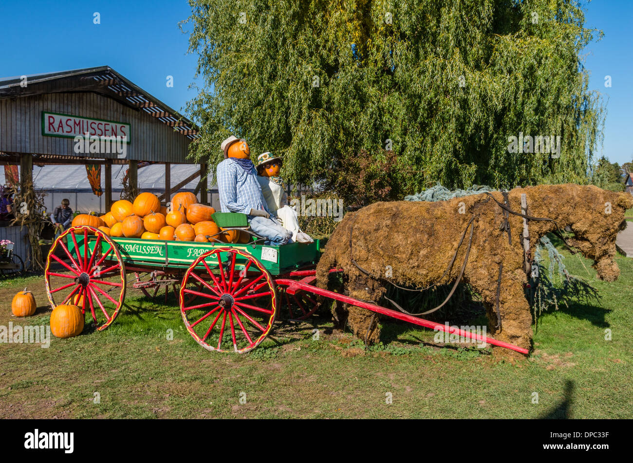 Wooden wagon and scarecrows with pumpkins and horse made of moss as a display for a fall festival. Hood River, Oregon USA Stock Photo
