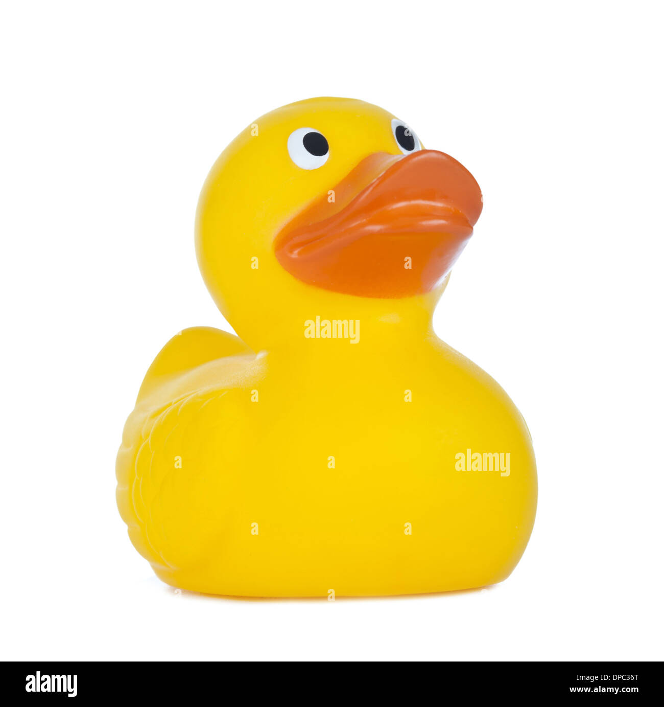 Yellow Rubber Duck isolated on white background Stock Photo