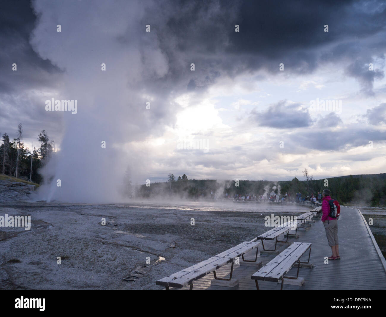 The eruption of the Grand Geyser in the Upper Geyser Basin, Yellowstone