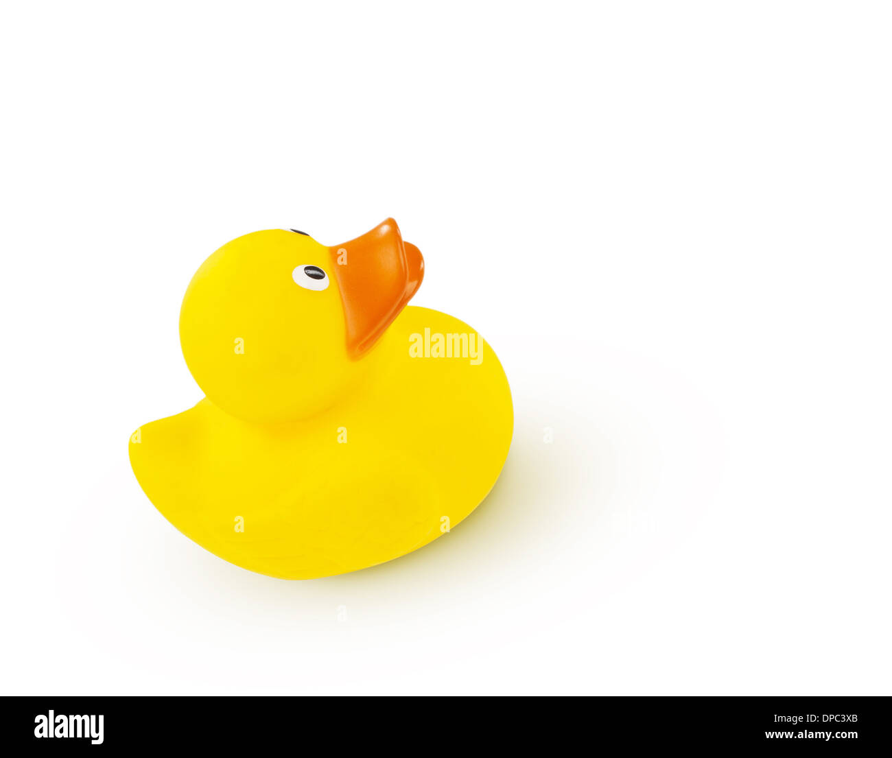 Yellow Rubber Duck isolated on white background Stock Photo