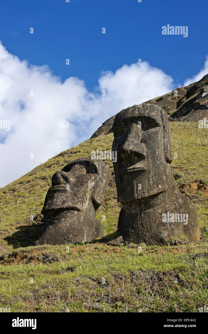 Moai at Rano Raraku quarry, Easter Island, Chile Stock Photo