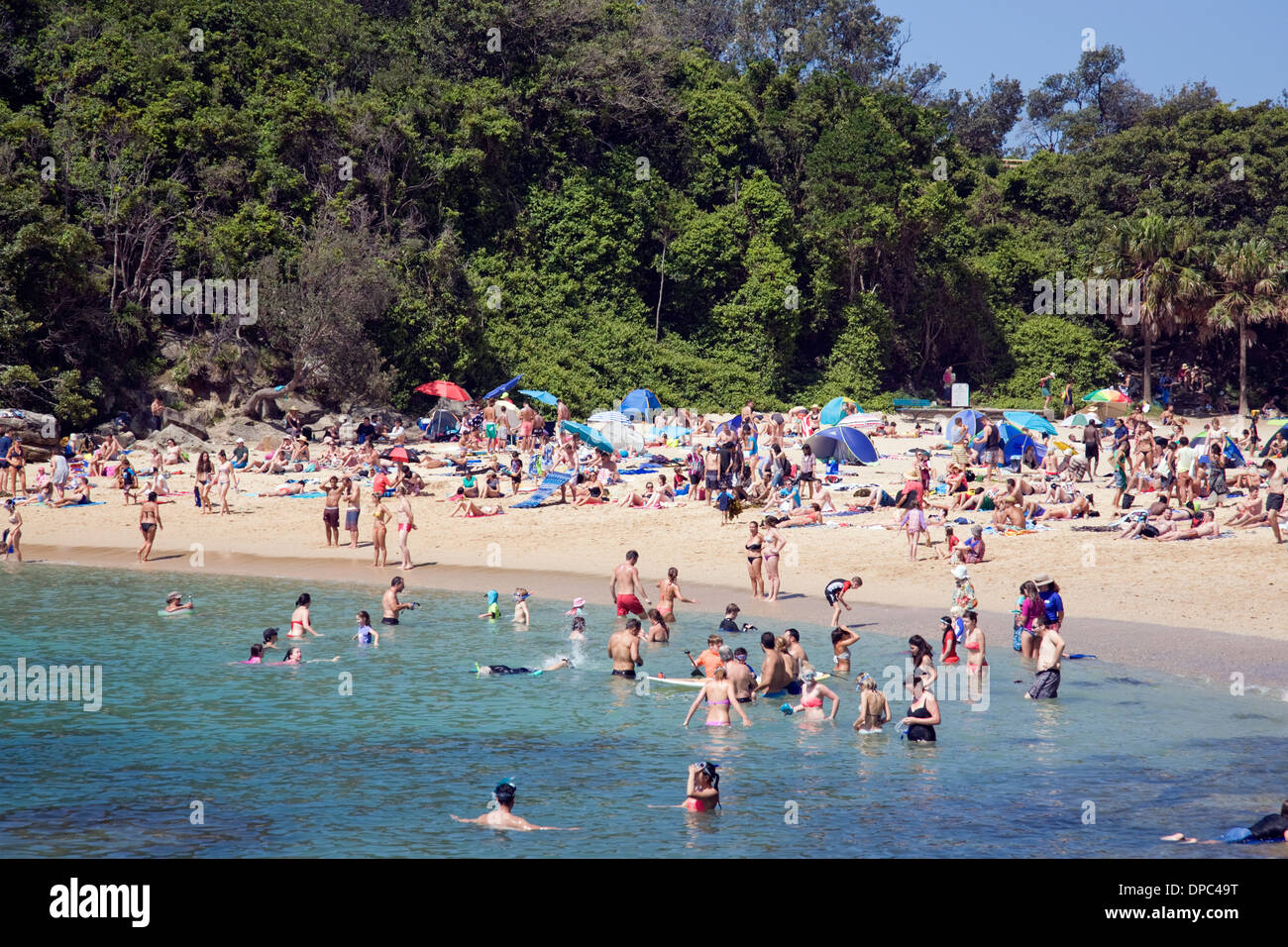 Shelly beach and Cabbage Tree Bay in Manly,Sydney, New South Wales