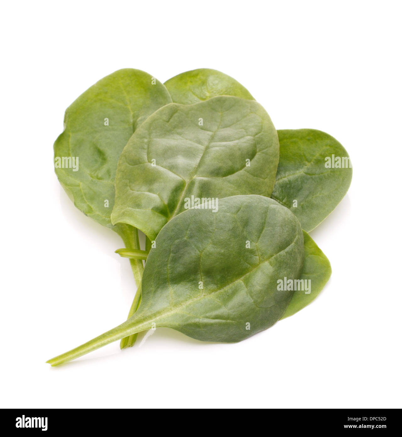 Spinach vegetables isolated on white background cutout Stock Photo - Alamy