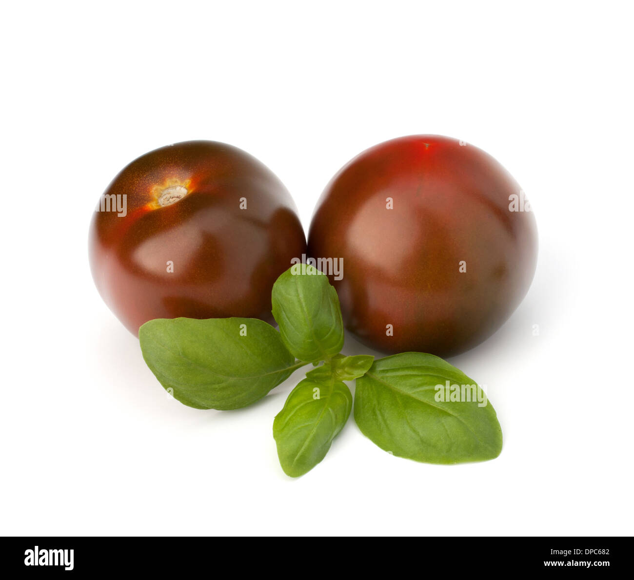 Tomato kumato and basil leaf isolated on white background Stock Photo