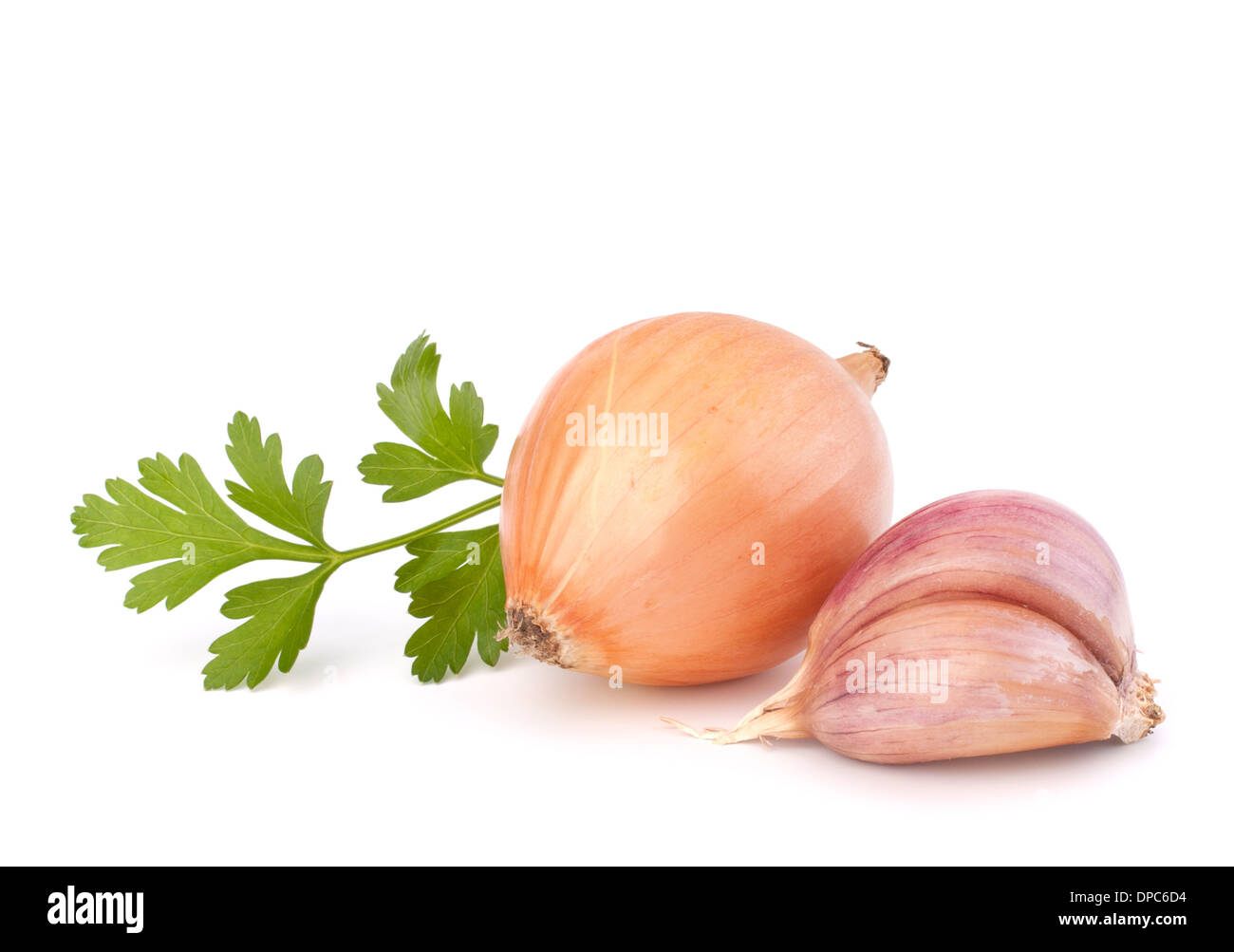 Onion and garlic clove isolated on white background Stock Photo - Alamy