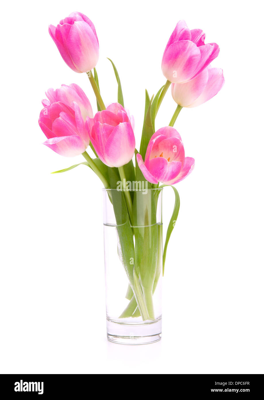Pink tulips bouquet in vase isolated on white background Stock Photo ...