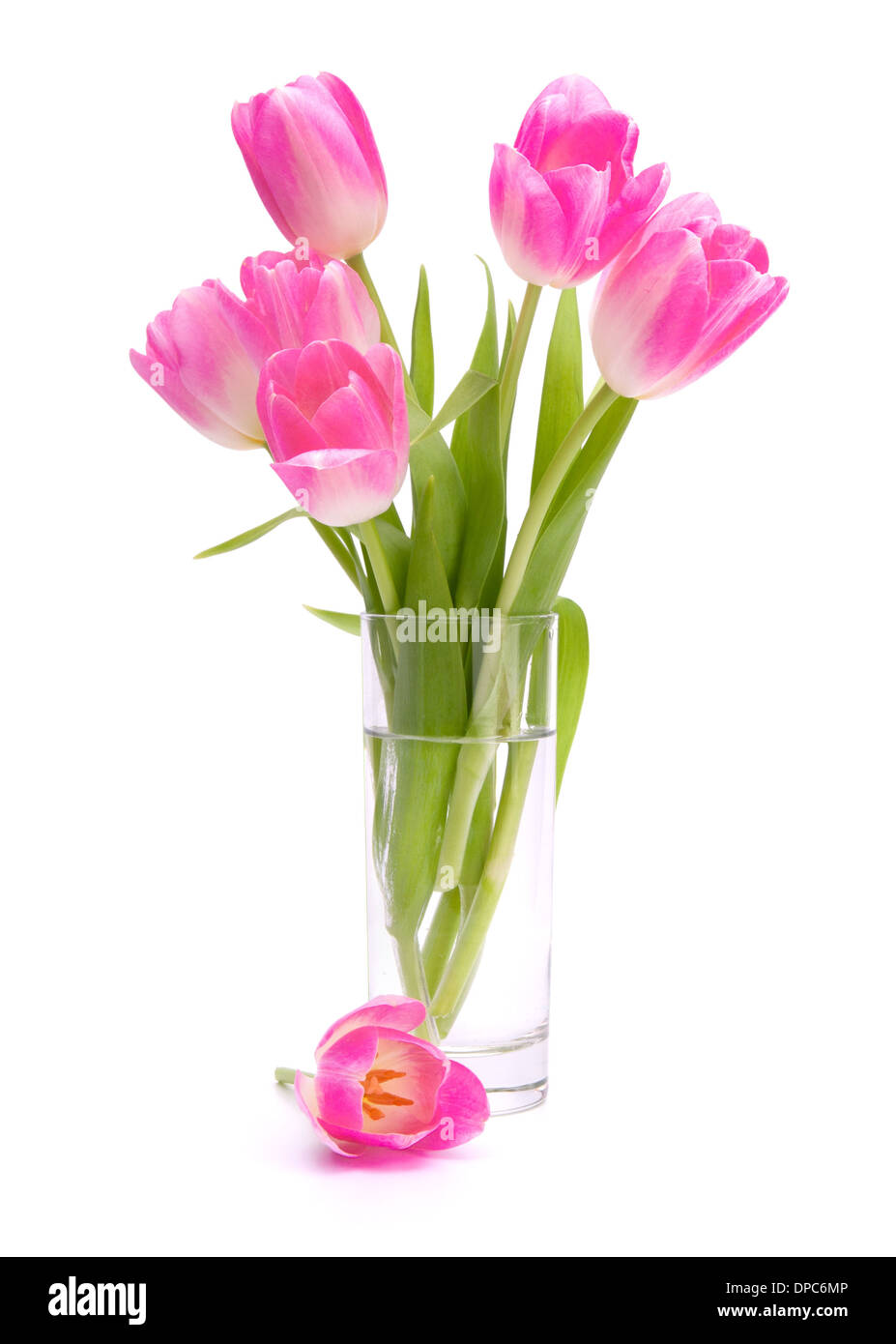 Pink tulips bouquet in vase isolated on white background Stock Photo ...