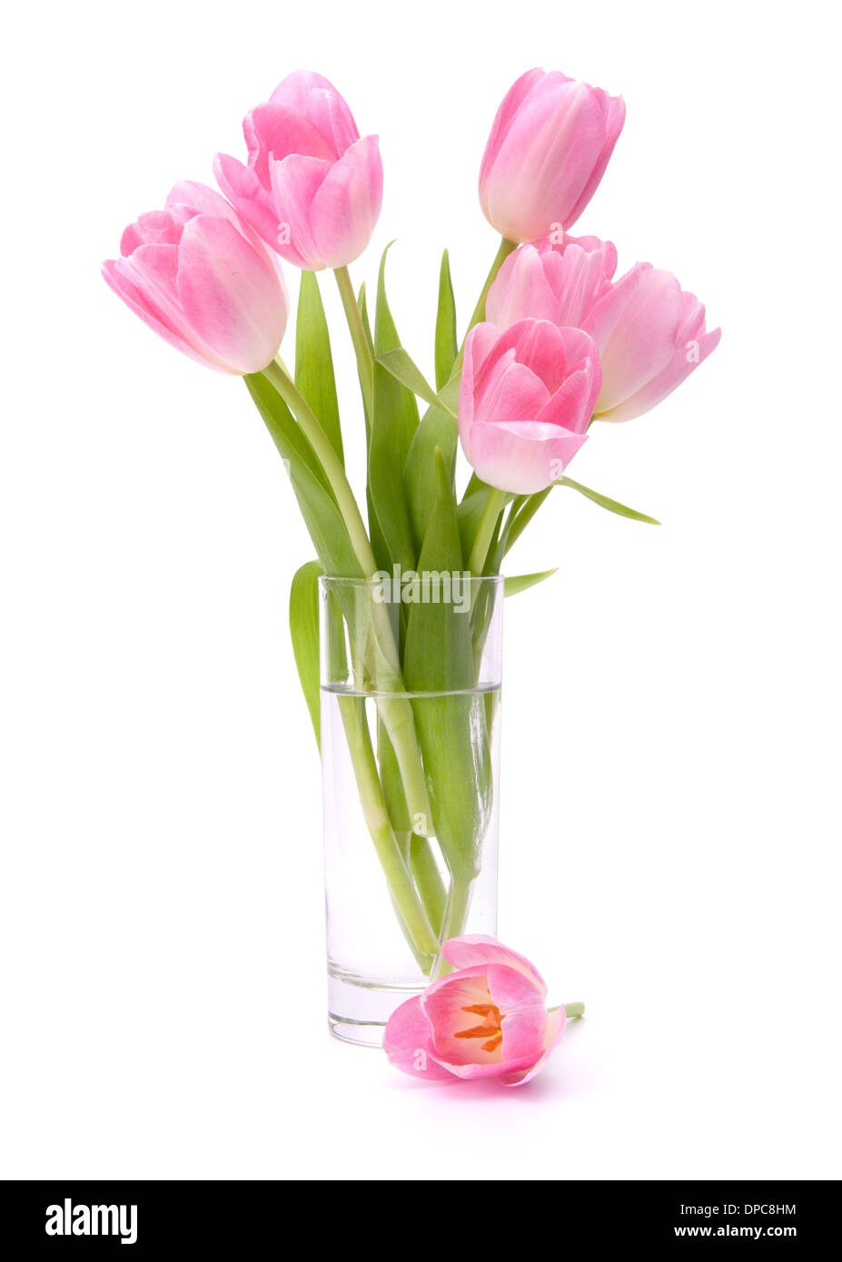Pink tulips bouquet in vase isolated on white background Stock Photo ...