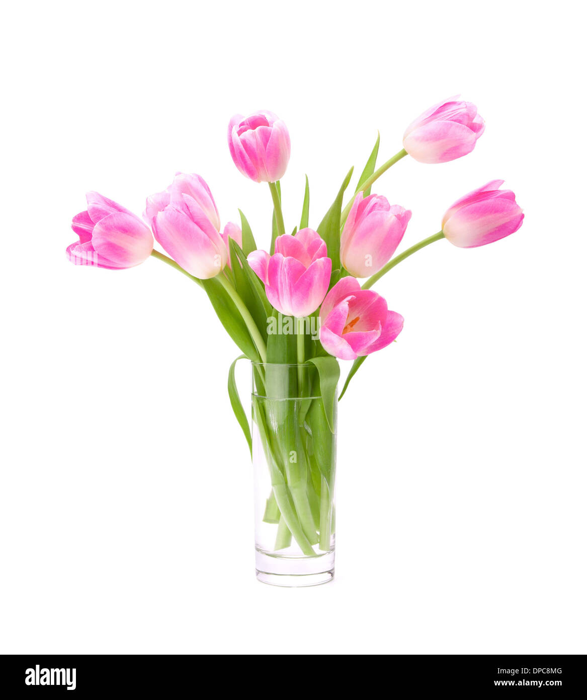 Pink tulips bouquet in vase isolated on white background Stock Photo ...