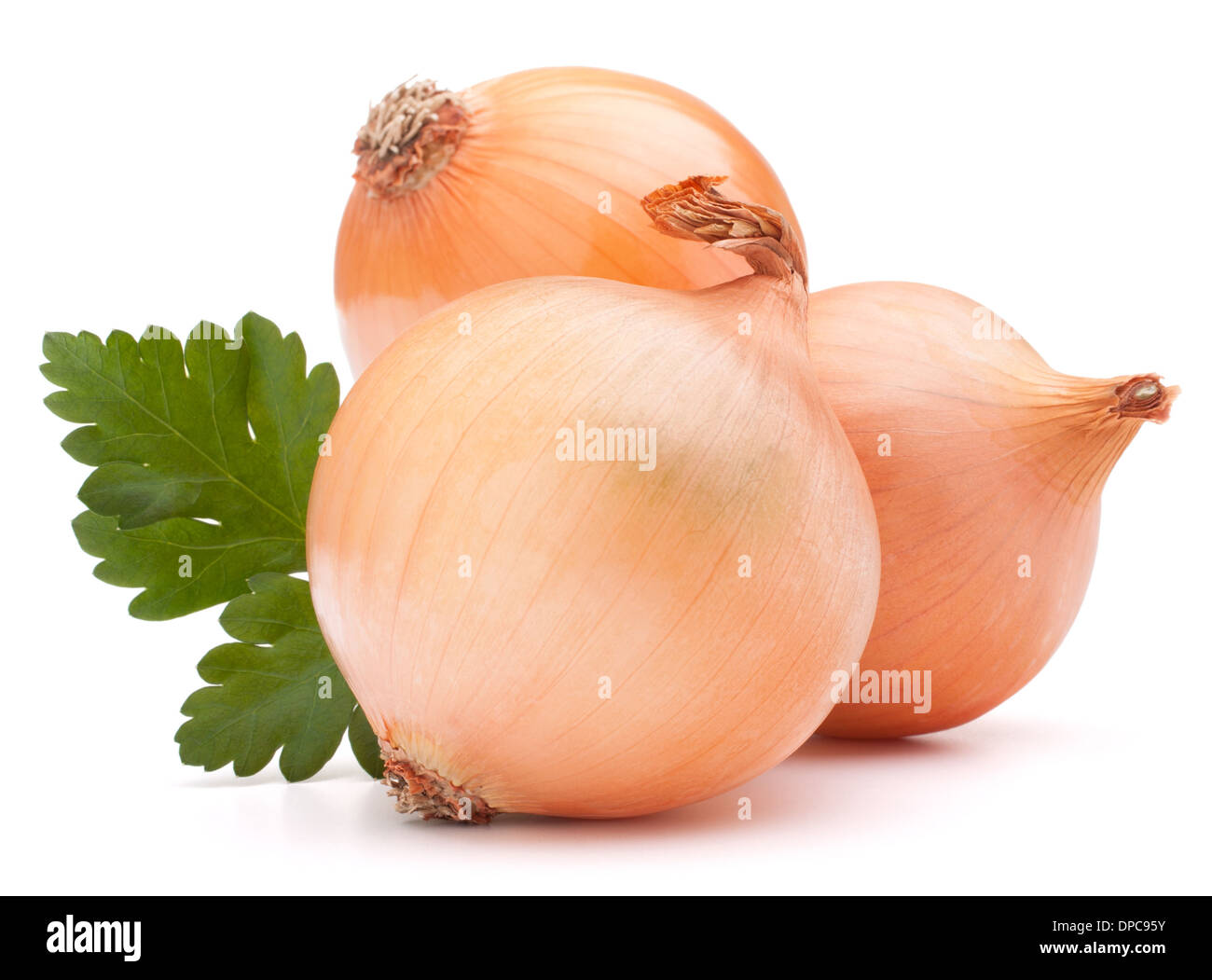 Onion vegetable bulb and parsley leaves still life isolated on white background cutout Stock Photo