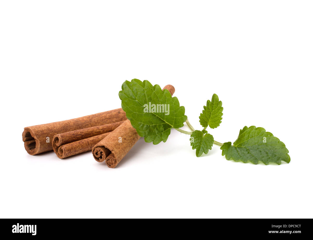 Cinnamon sticks and fresh bergamot mint leaf isolated on white background Stock Photo
