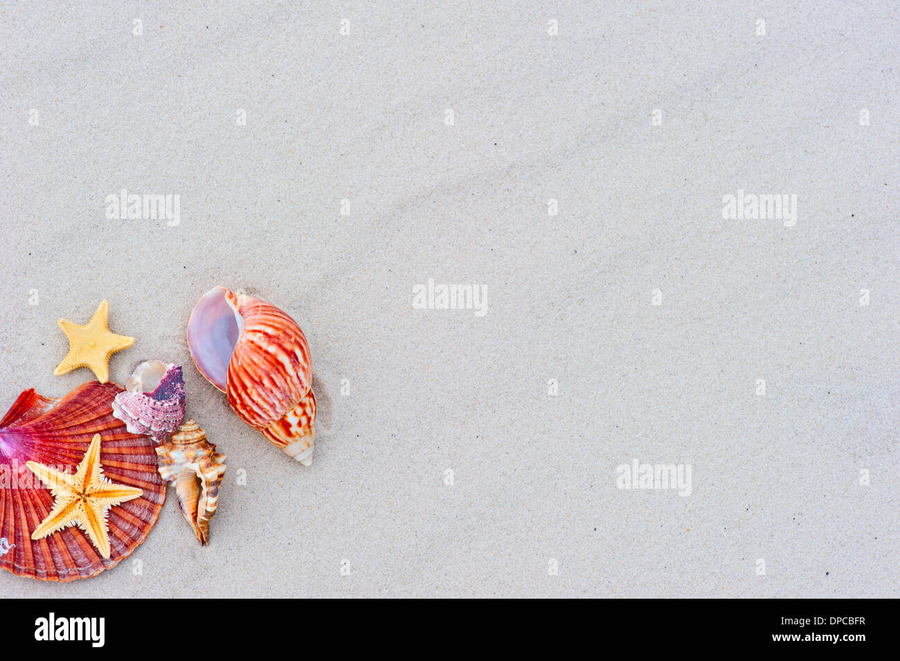 Starfishes and seashells on sand with copy space Stock Photo